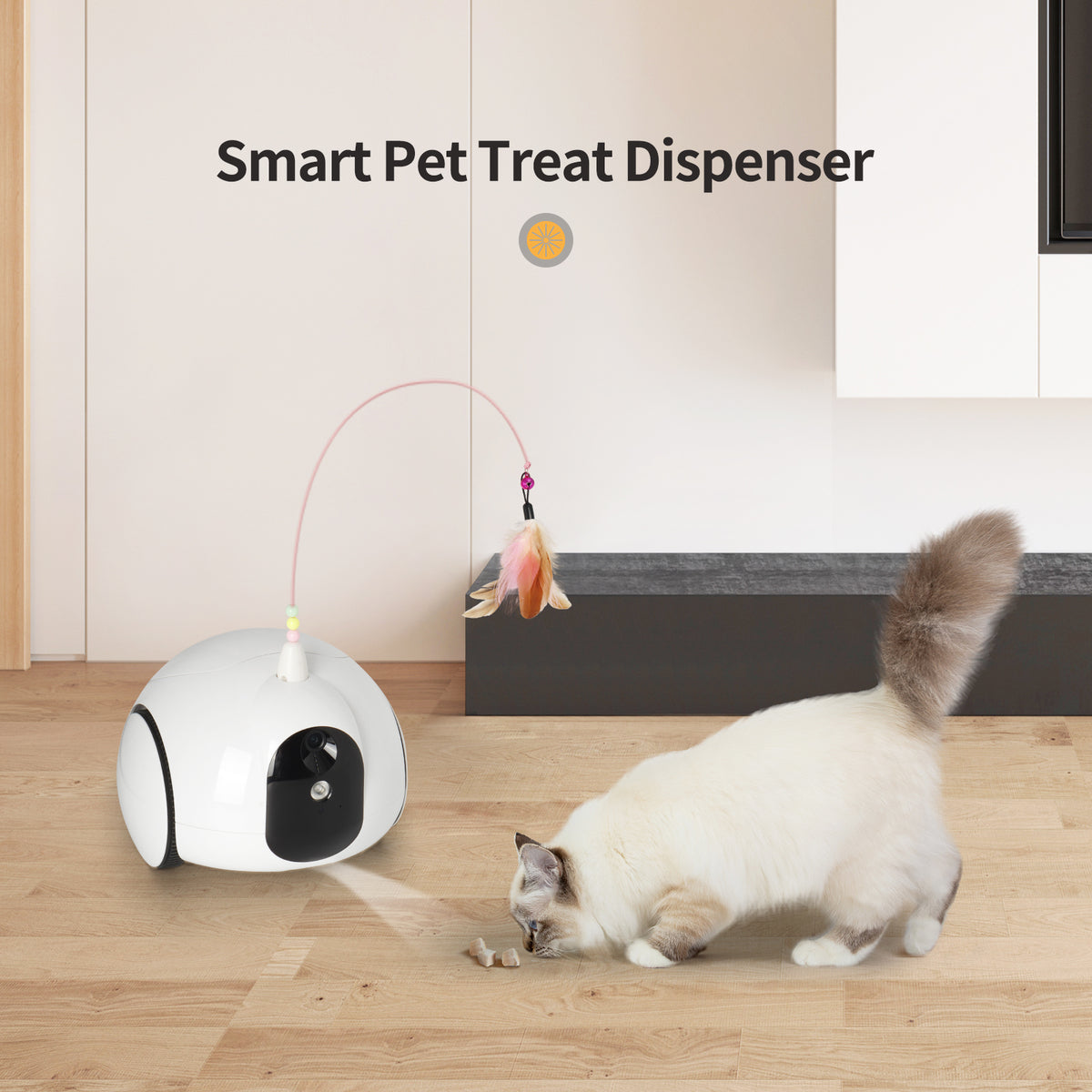 Self Charging Pet Camera Treat Dispenser https www
