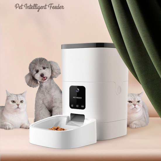 Benefits of an Automatic Pet Feeder with Camera - Preventing Obesity