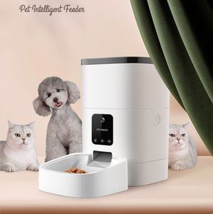 Benefits of an Automatic Pet Feeder with Camera - Preventing Obesity