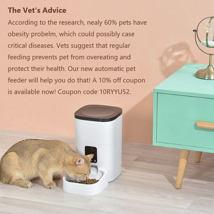 The Vet's Advice