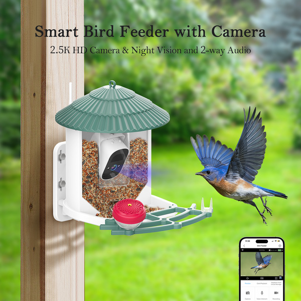 Smart Bird Feeder with Camera