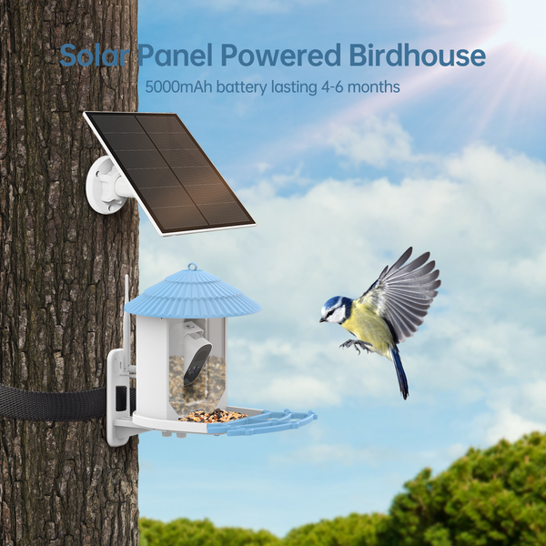 Smart Bird Feeder with Camera