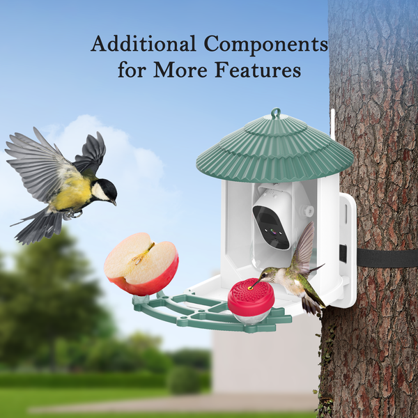Smart Bird Feeder with Camera