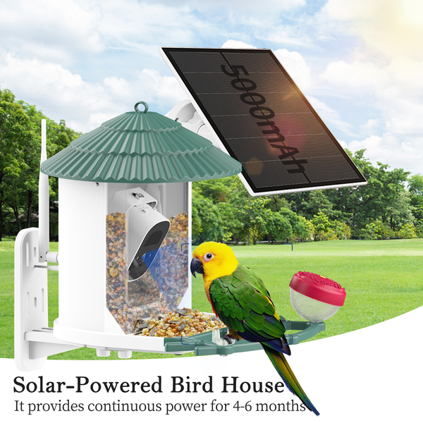 Smart Bird Feeder with Camera