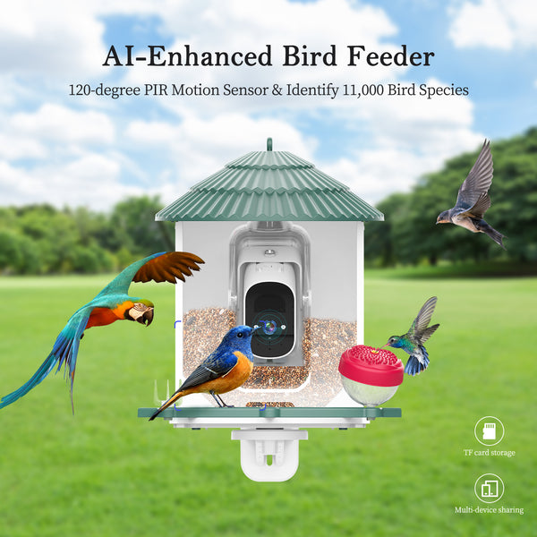 Smart Bird Feeder with Camera