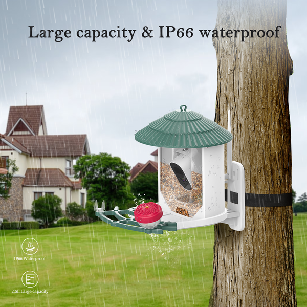 Smart Bird Feeder with Camera