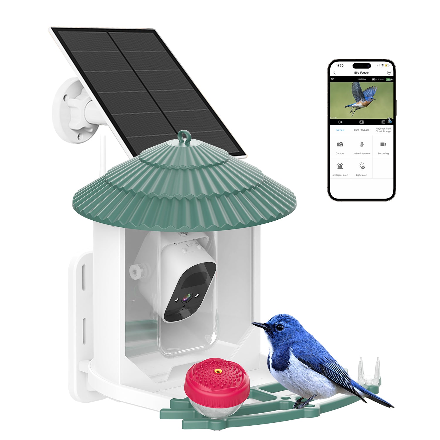 Smart Bird Feeder with Camera