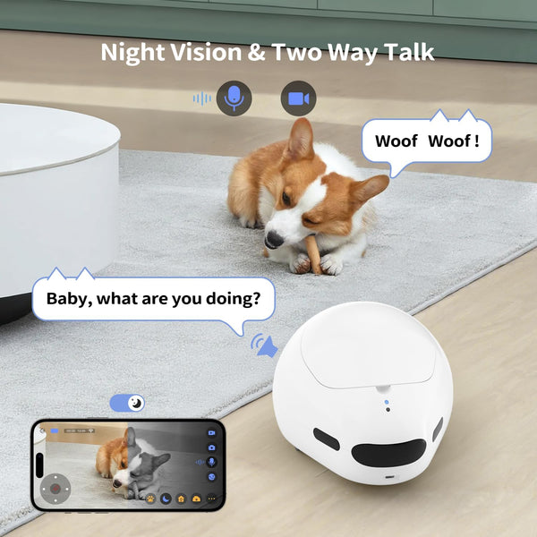 Self-Charging Moving Pet Camera Treat Dispenser with Phone App