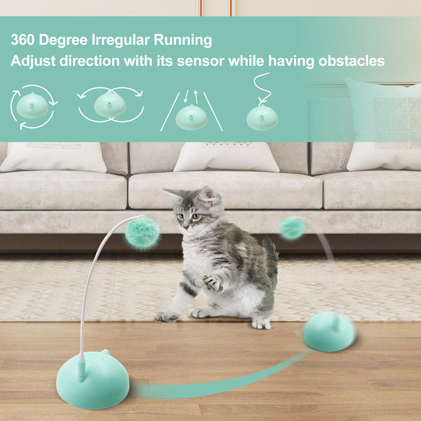 Interactive Cat Toy